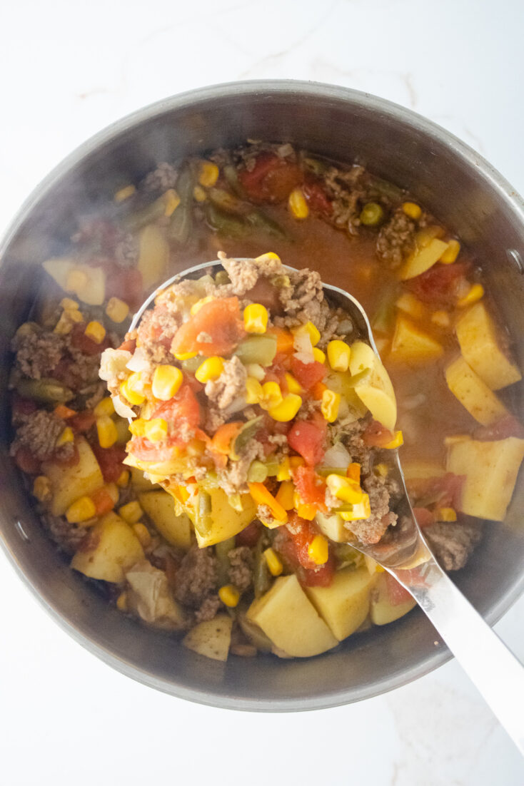 The Best Vegetable Beef Soup That Will Get Your Kids to Eat Veggies! 5