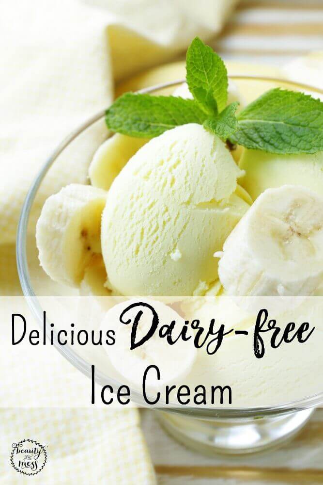 Delicious Dairy-free Ice Cream