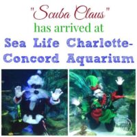 Scuba Claus at Sealife in Charlotte NC