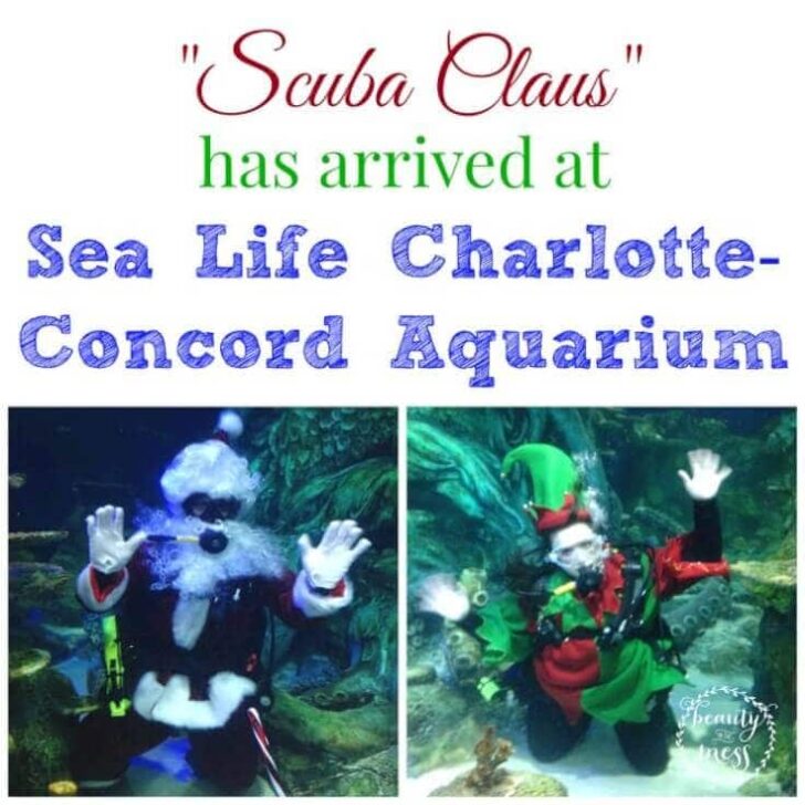 Scuba Claus at Sealife in Charlotte NC