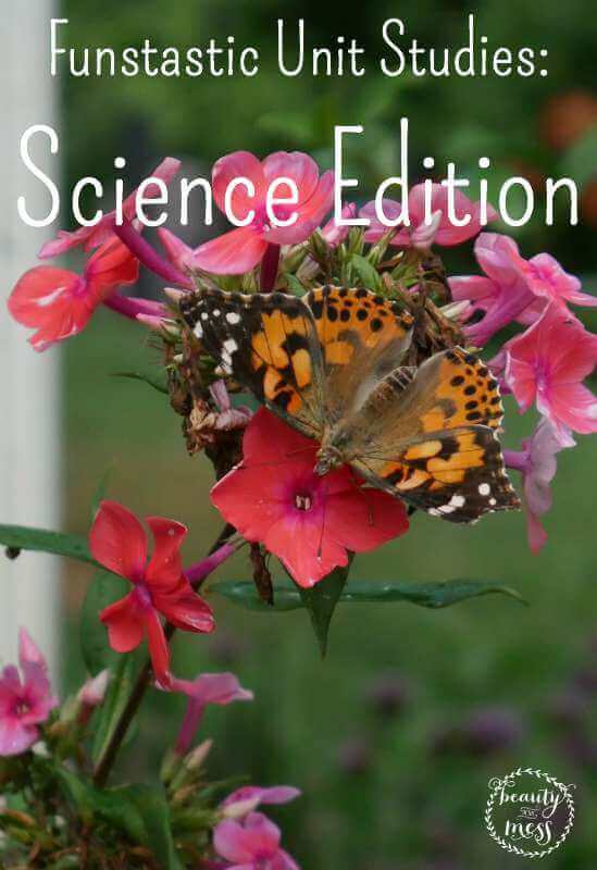 Funstastic Unit Studies Science Edition Insects