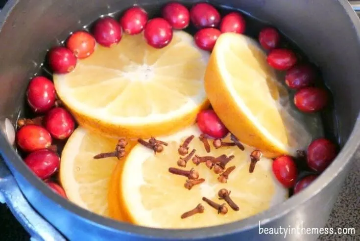 stovetop potpourri with oranges cranberries cloves