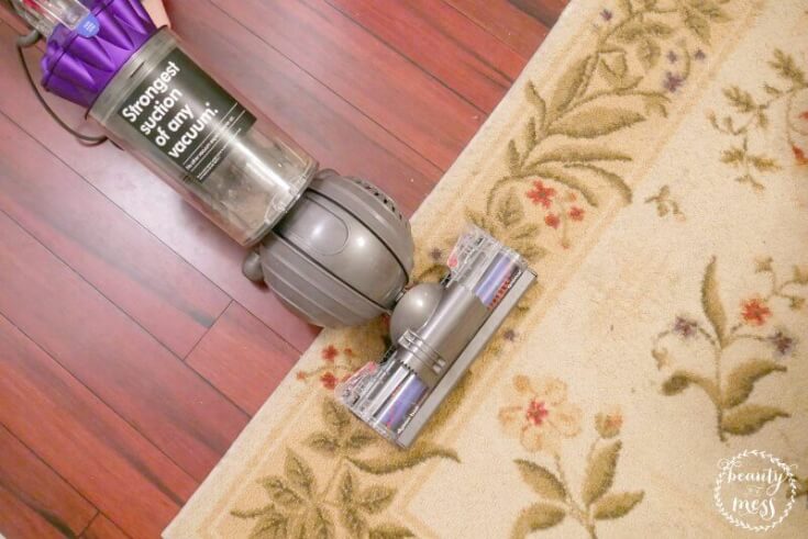 Dyson Ball Animal: 5 Tools for a Clean House
