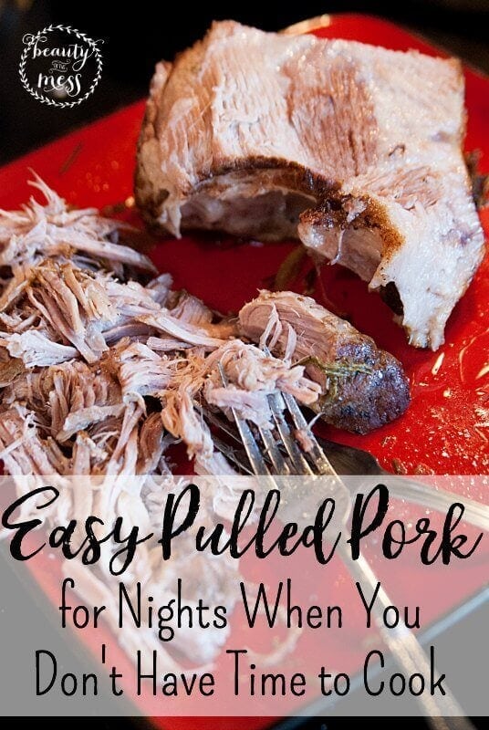 Easy Pulled Pork Recipe for the Slow Cooker