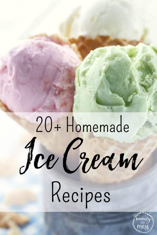 20+ Homemade Ice Cream Recipes 1
