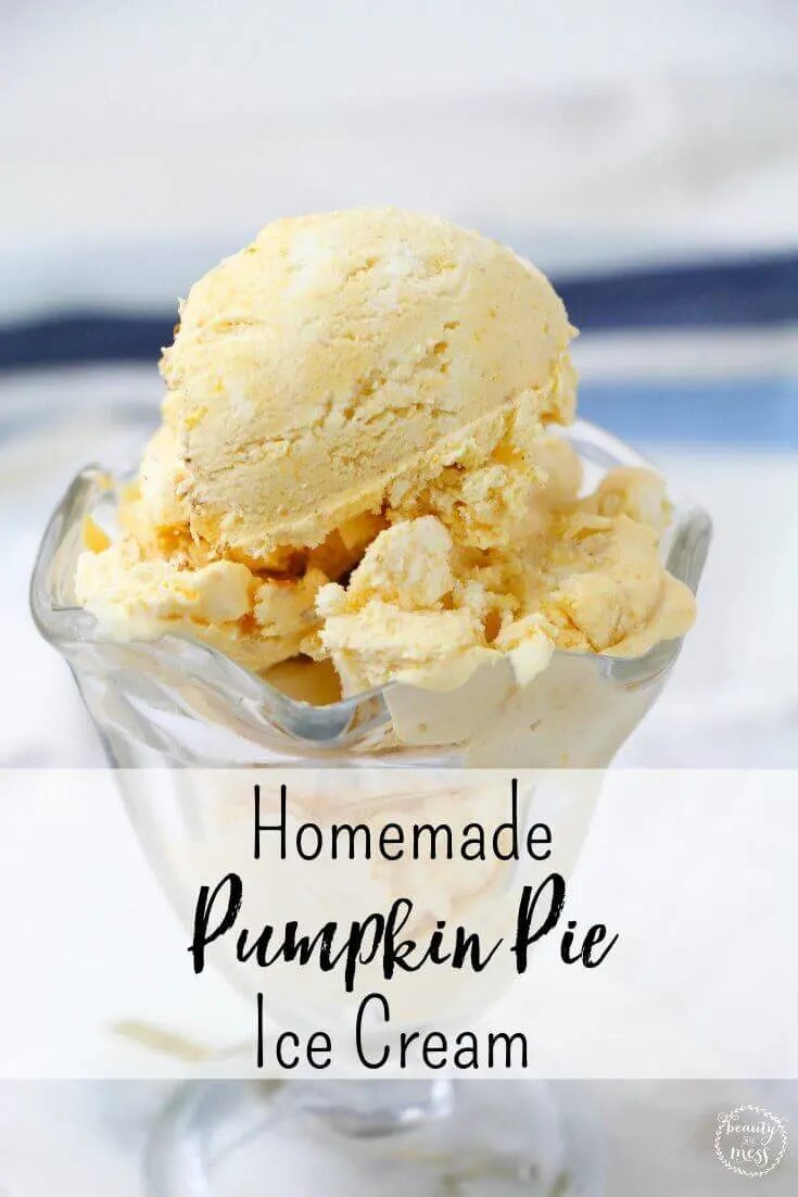 Homemade Pumpkin Pie Ice Cream