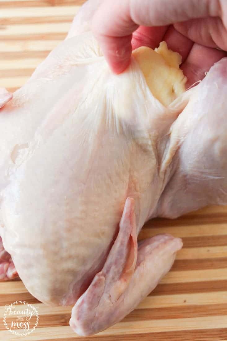 Easily Cook a Whole Chicken in Your Instant Pot 1
