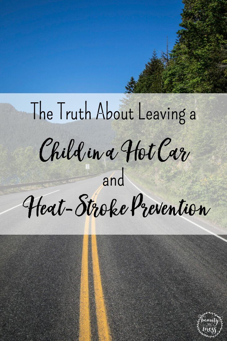 The Truth About Leaving a Child In A Vehicle and 3 Ways to Prevent Heat-Stroke 1