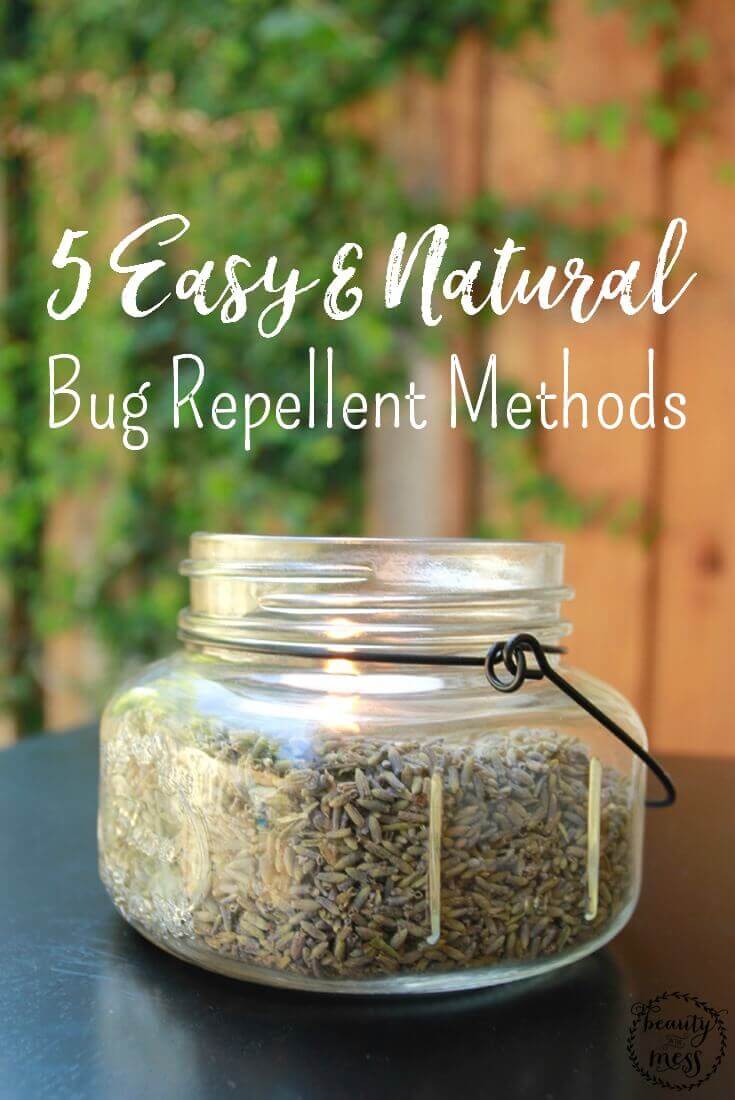 5 Easy and Natural Bug Repellent Methods for Outdoor Gatherings 11