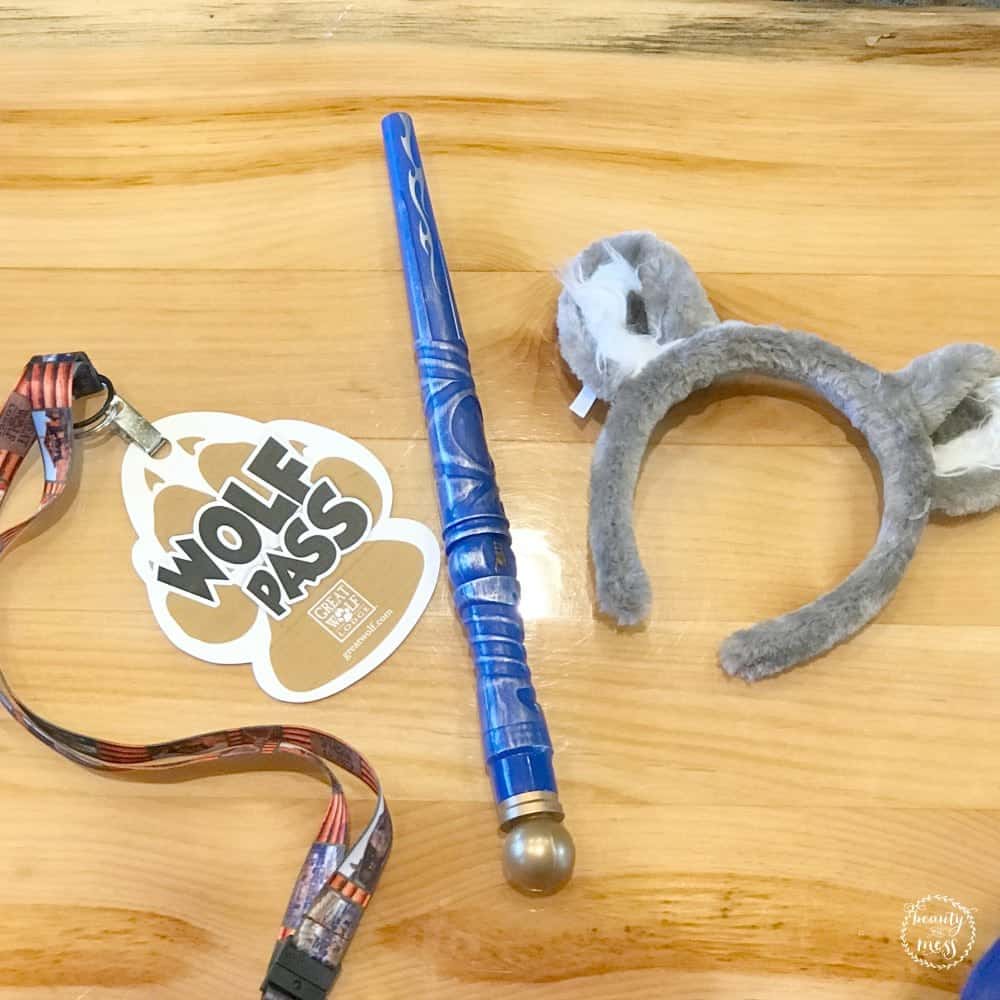 What You Need To Know Before Visiting Great Wolf Lodge