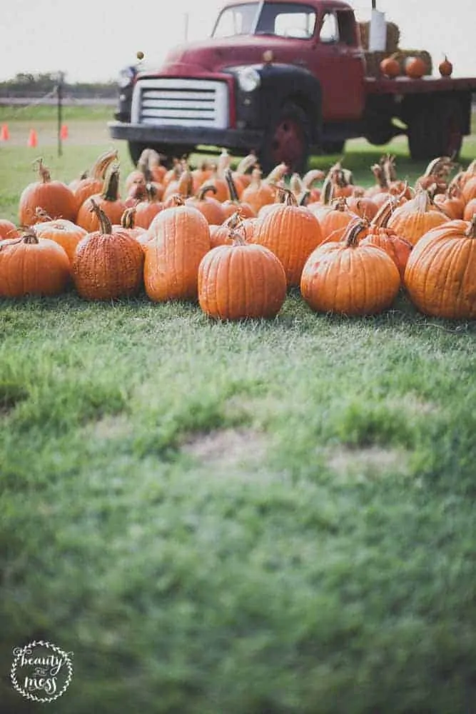 Looking for fall activities to do with your family? Check out this list of Fall Bucket List ideas for the whole family.