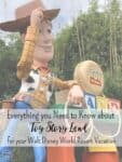 Everything you Need to Know about Toy Story Land in Walt Disney World