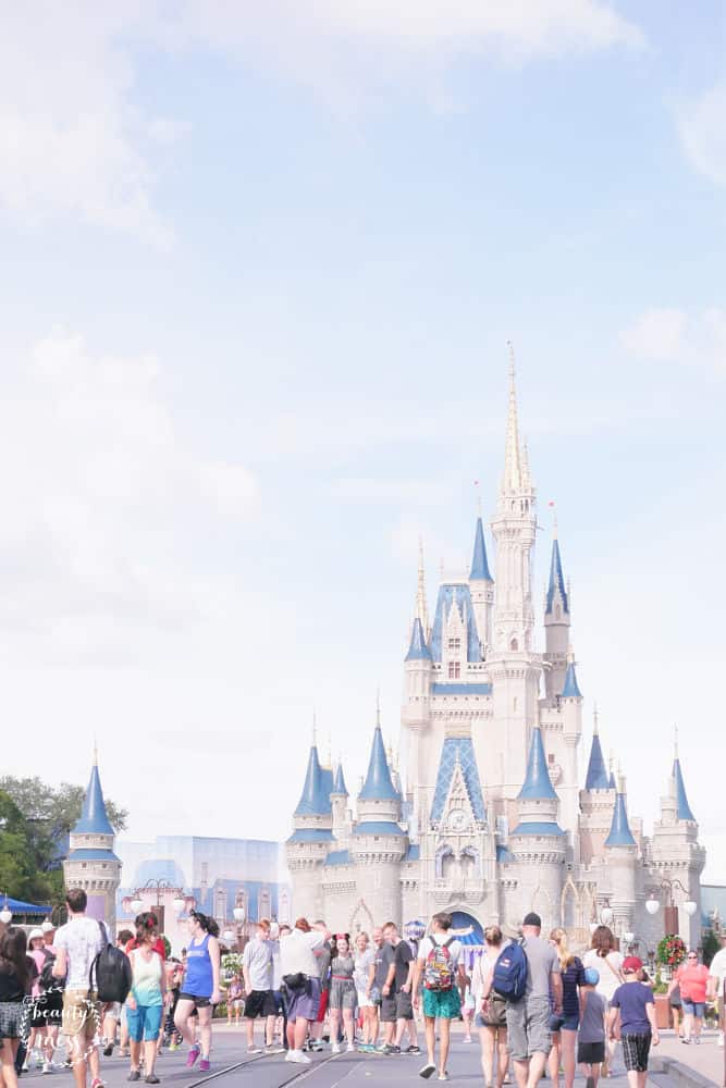 7 Inexpensive and Free Things to Do at Walt Disney World Resort