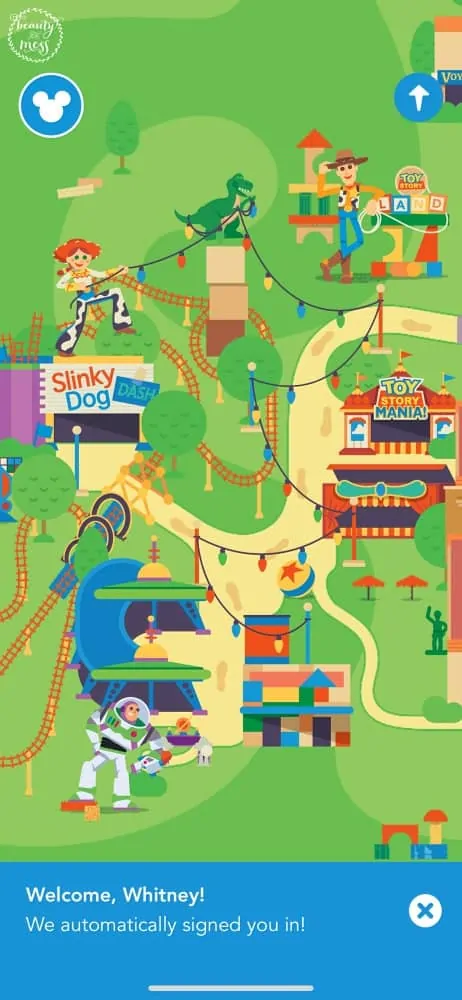 Play App Toy Story Land DHS