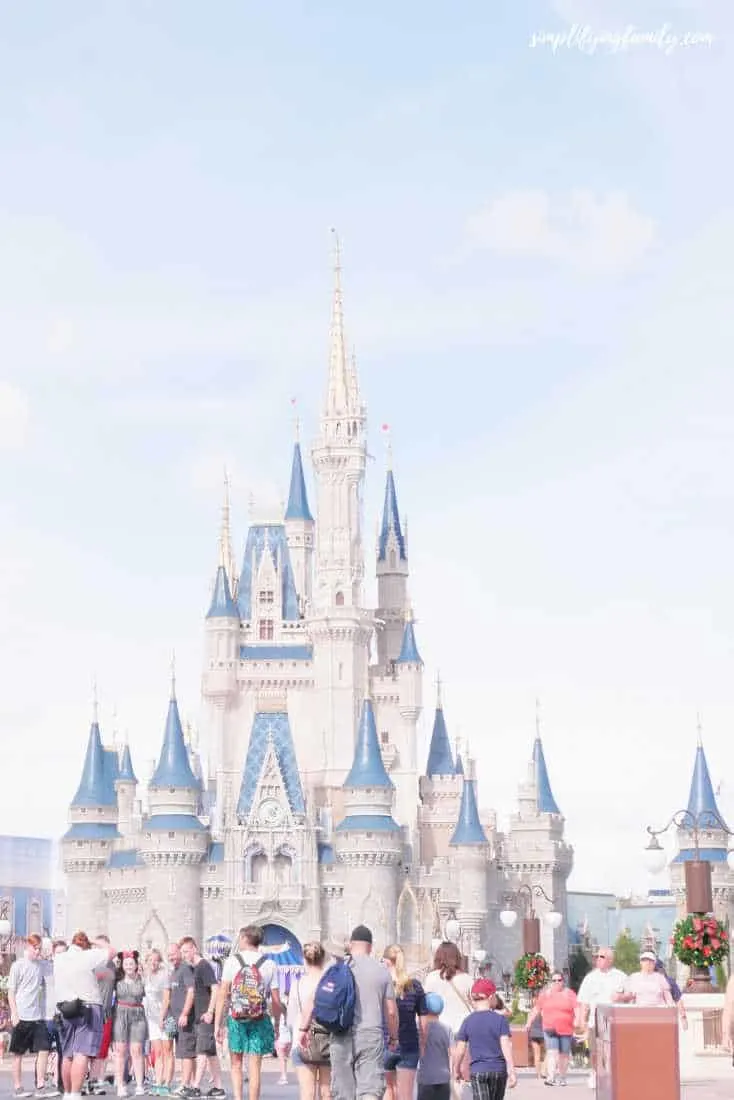 Magic Kingdom Cinderella Castle