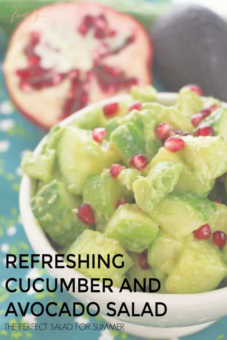 Refreshing Avocado and Cucumber Salad That Is Perfect for Summer 1