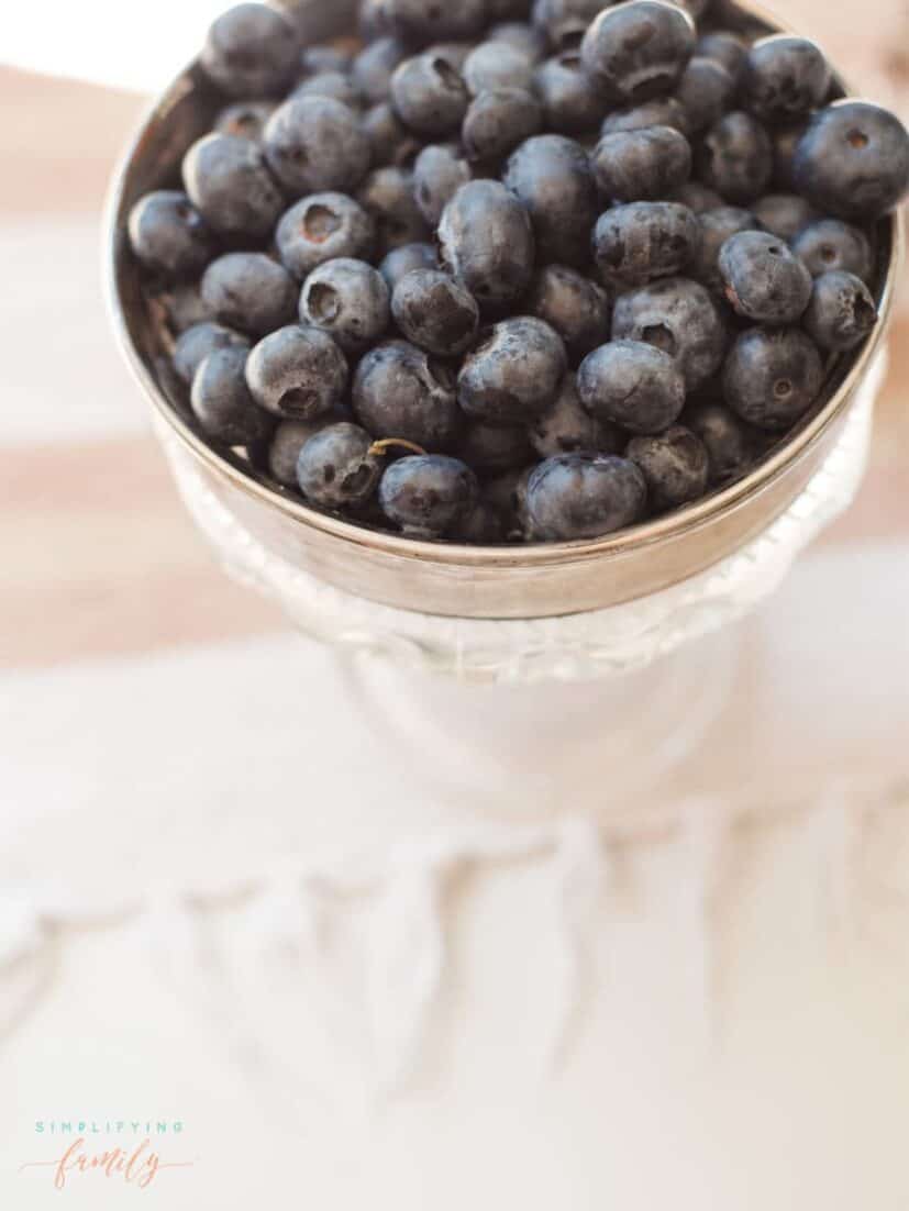 Tips For How to Grow Blueberries in Your Own Backyard 6