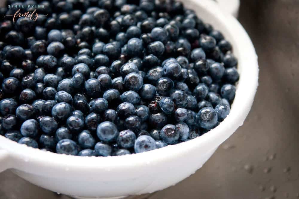 Tips For How to Grow Blueberries in Your Own Backyard 1