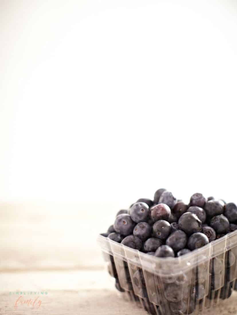 Tips For How to Grow Blueberries in Your Own Backyard 2