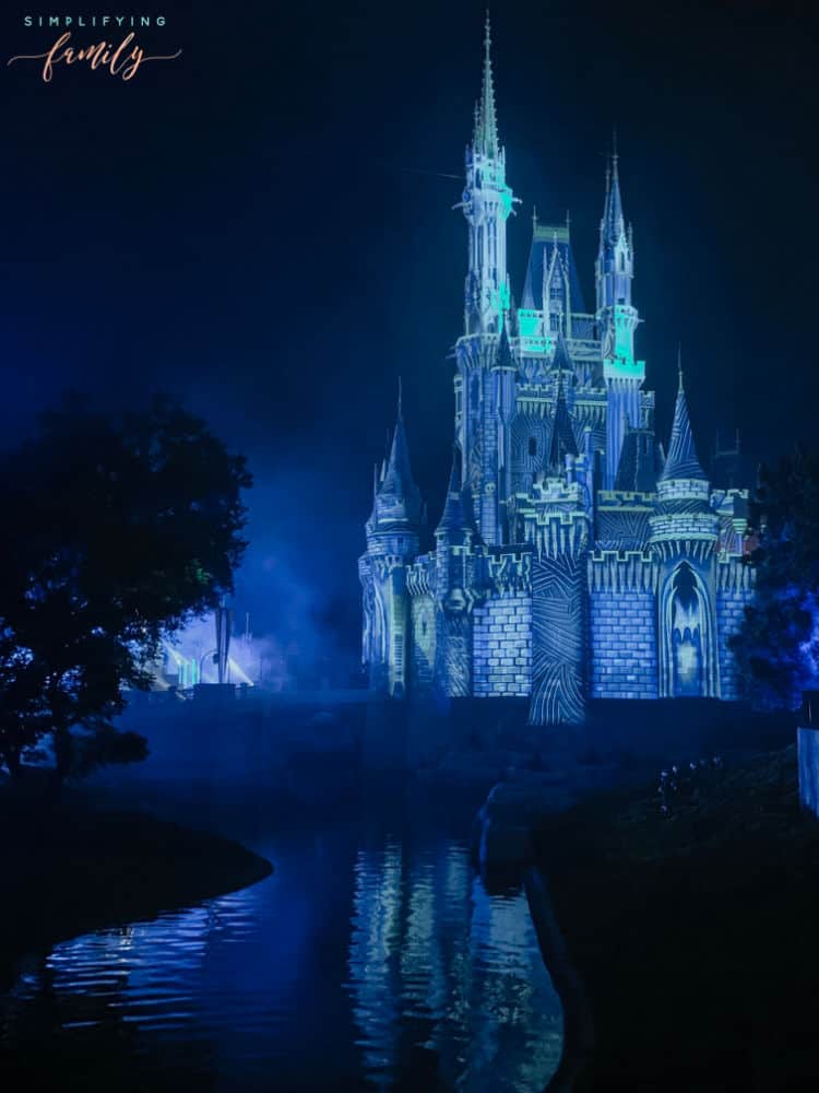 Your Magical Walt Disney World Travel Guide 3