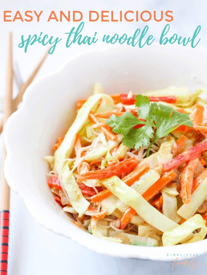 Easy and Delicious Spicy Thai Noodle Bowl | Egg Roll In A Bowl 1