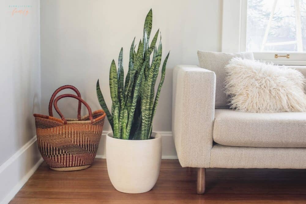 Organizing A Small Apartment and Maximizing Your Living Space With These 6 Incredible Hacks