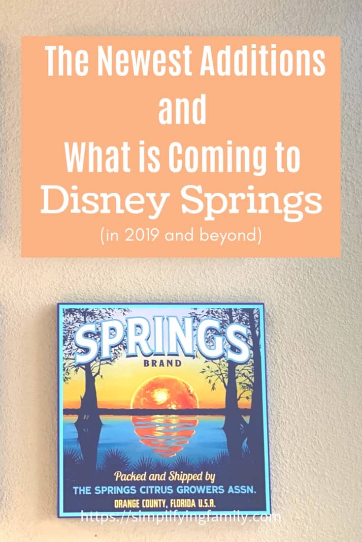 What is Coming to Disney Springs in 2020 1