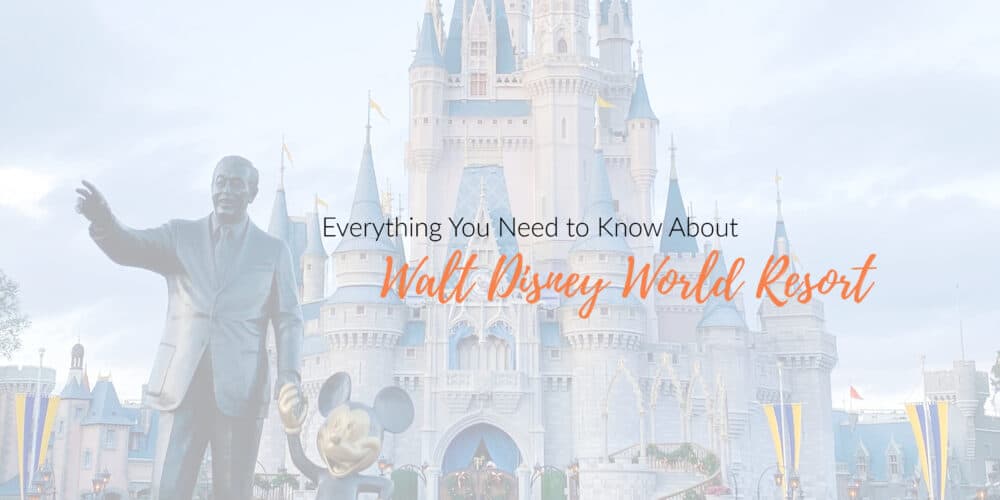 Your Magical Walt Disney World Travel Guide 2