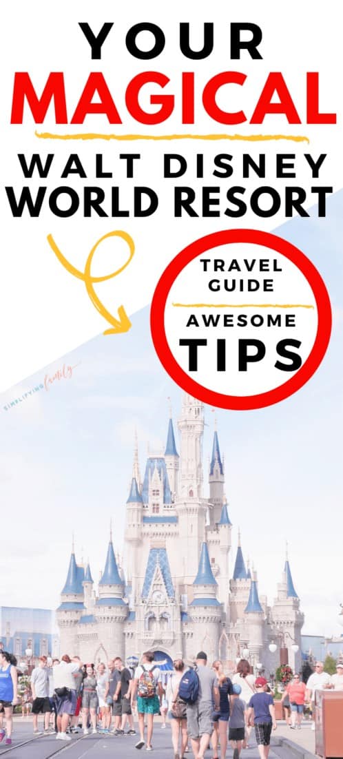 Your Magical Walt Disney World Travel Guide 1