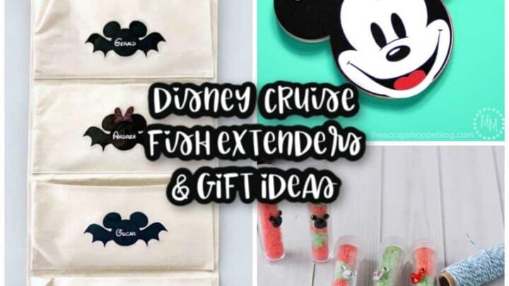 Image for 17 Disney Cruise Fish Extender DIY and Gift Ideas
