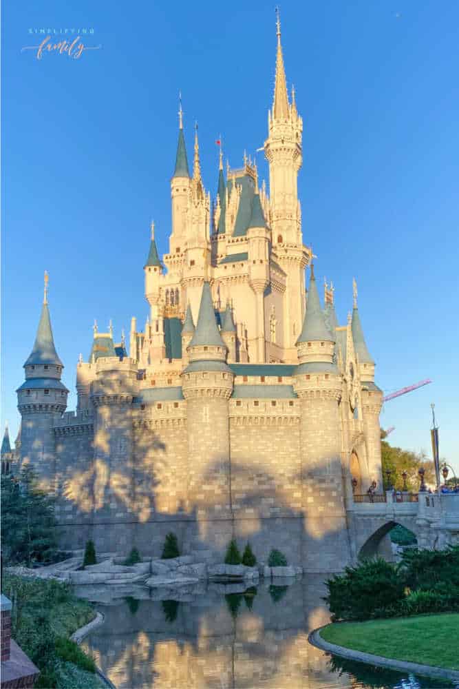 Top 10 Common Mistakes Made at Walt Disney World and How to Avoid Them 4
