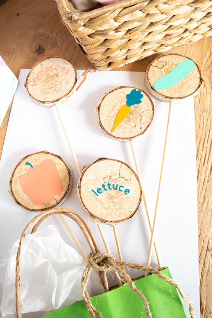 Colorful DIY Wood Slice Garden Markers with Cricut Joy in 7 Steps 6