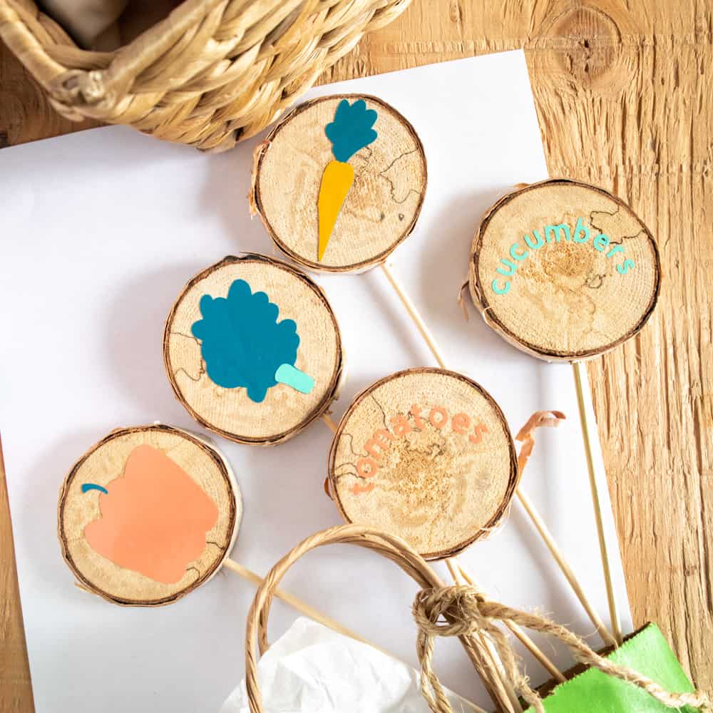 Colorful DIY Wood Slice Garden Markers with Cricut Joy in 7 Steps 1