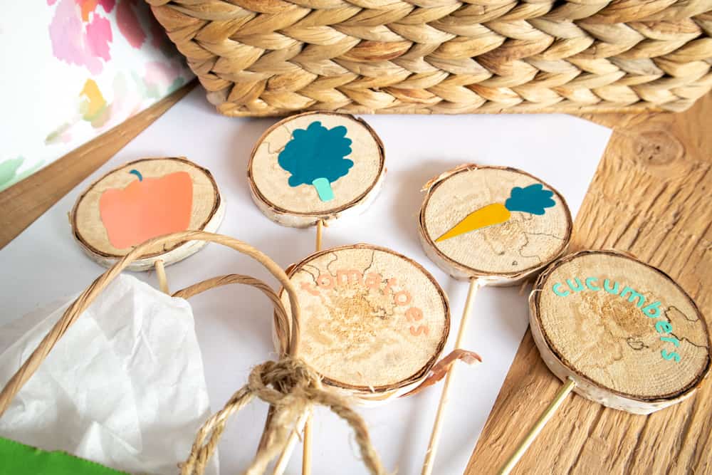 Colorful DIY Wood Slice Garden Markers with Cricut Joy in 7 Steps 7