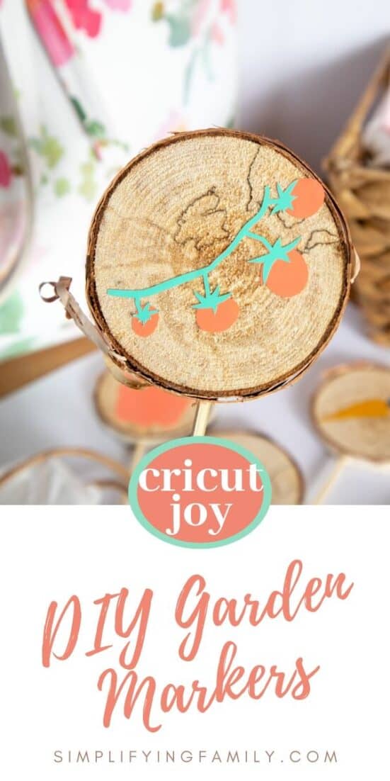 Colorful DIY Wood Slice Garden Markers with Cricut Joy in 7 Steps 3