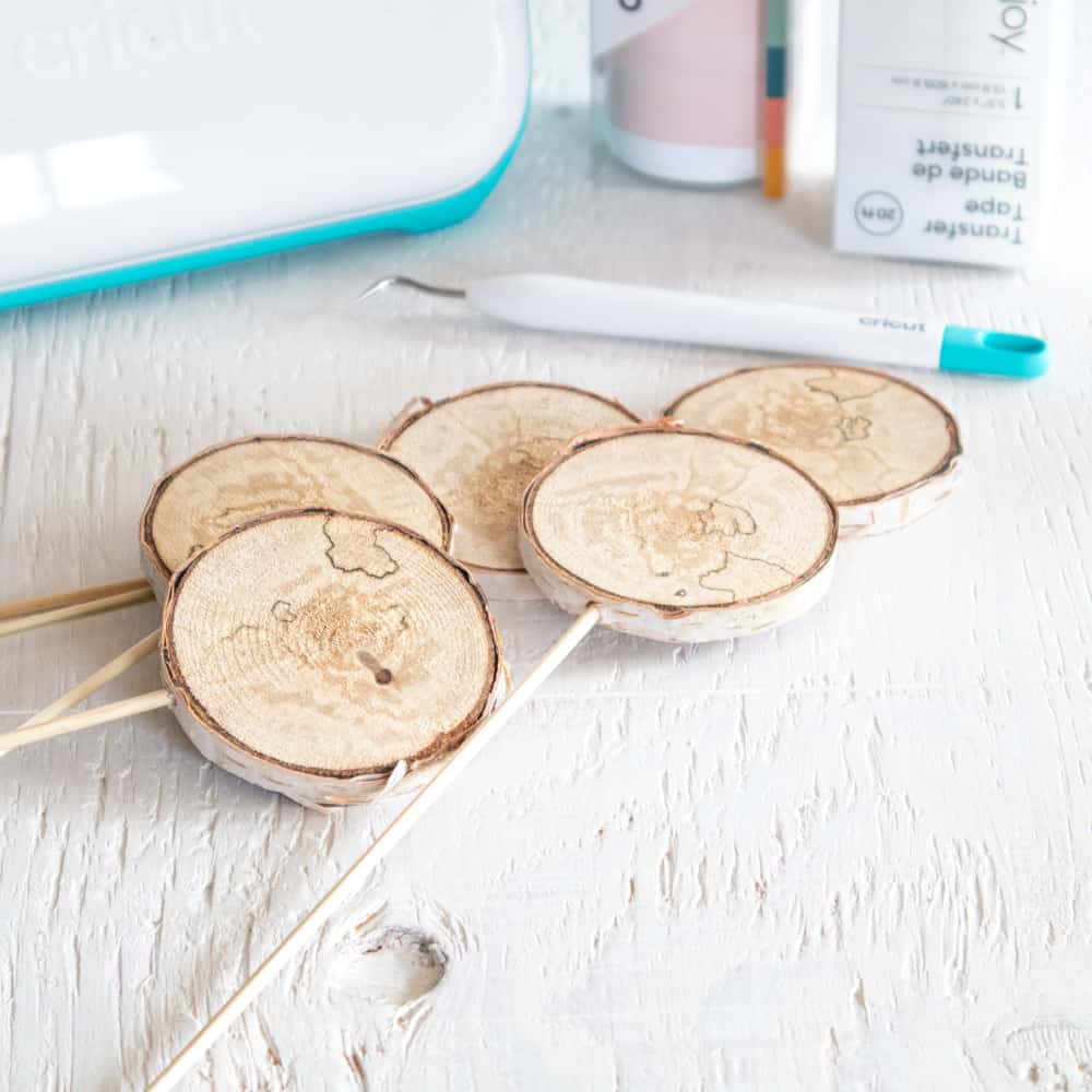 Colorful DIY Wood Slice Garden Markers with Cricut Joy in 7 Steps 10
