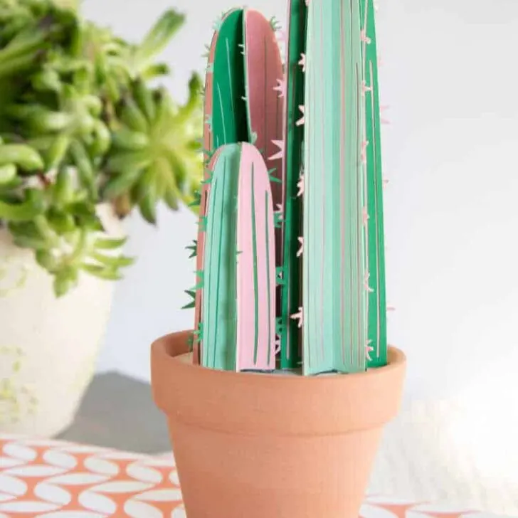 paper cactus craft