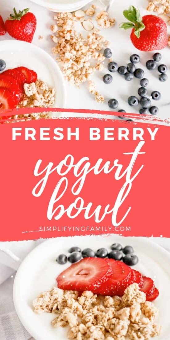 Delicious Greek Yogurt Breakfast Bowls | 2 Ways 3
