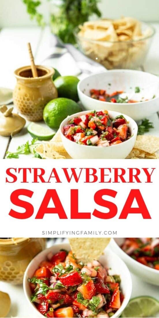 Delicious 6 Ingredient Strawberry Salsa Recipe 1