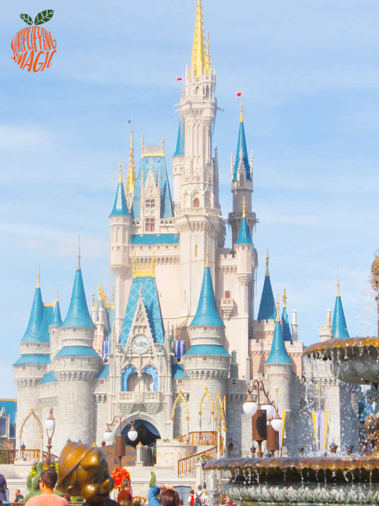 Great Tips for Staying on Your Weight Watchers Plan at Walt Disney World