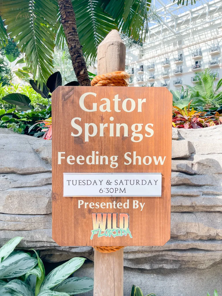 Gator Springs Wild Florida