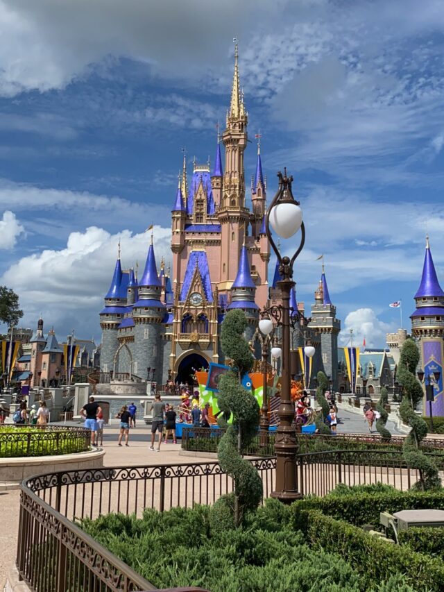 The Best (and Worst!) Rides at Disney World