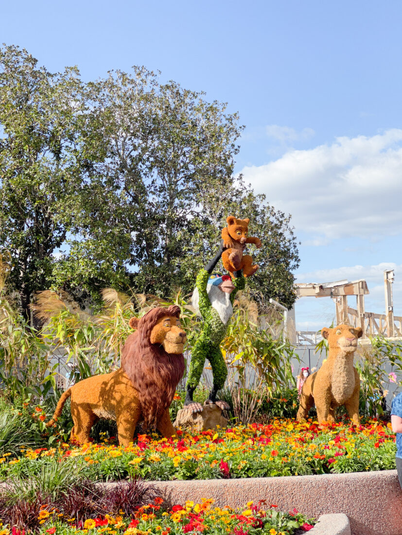 Epcot International Flower and Garden Festival Lion King topiary