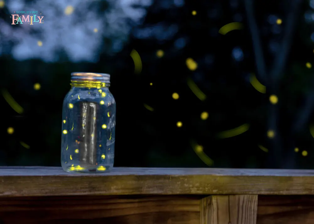 summer activities fireflies camping