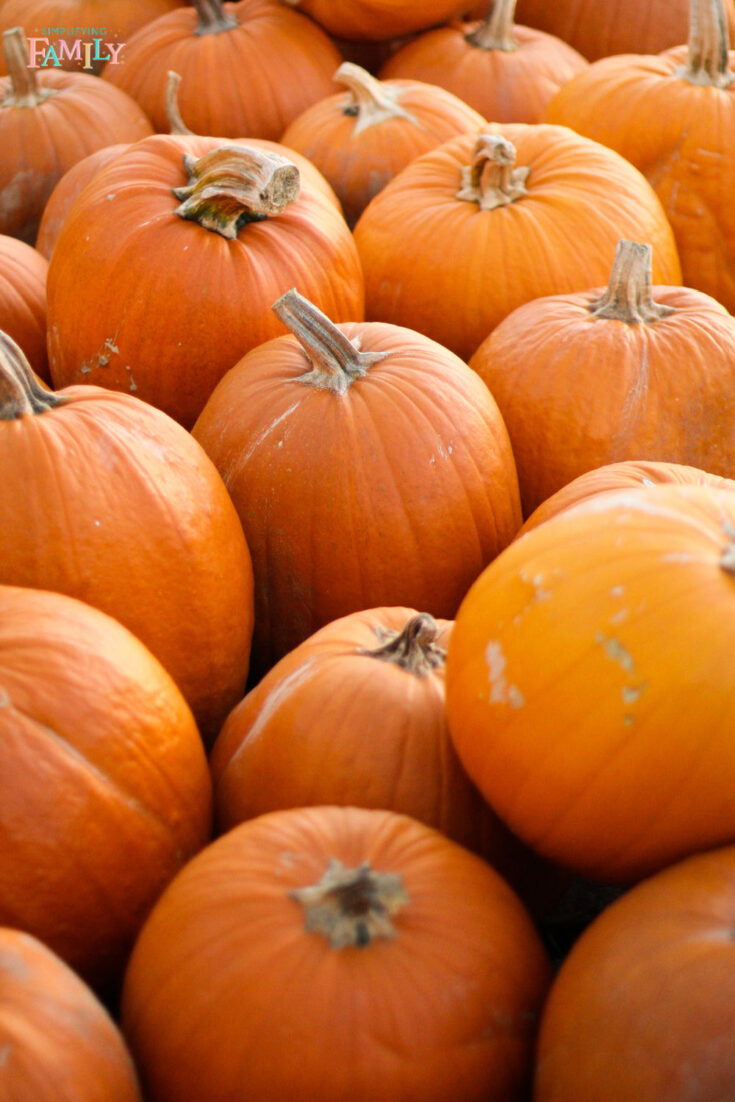 Pumpkins ready to carve  with disney villains pumpkin stencils