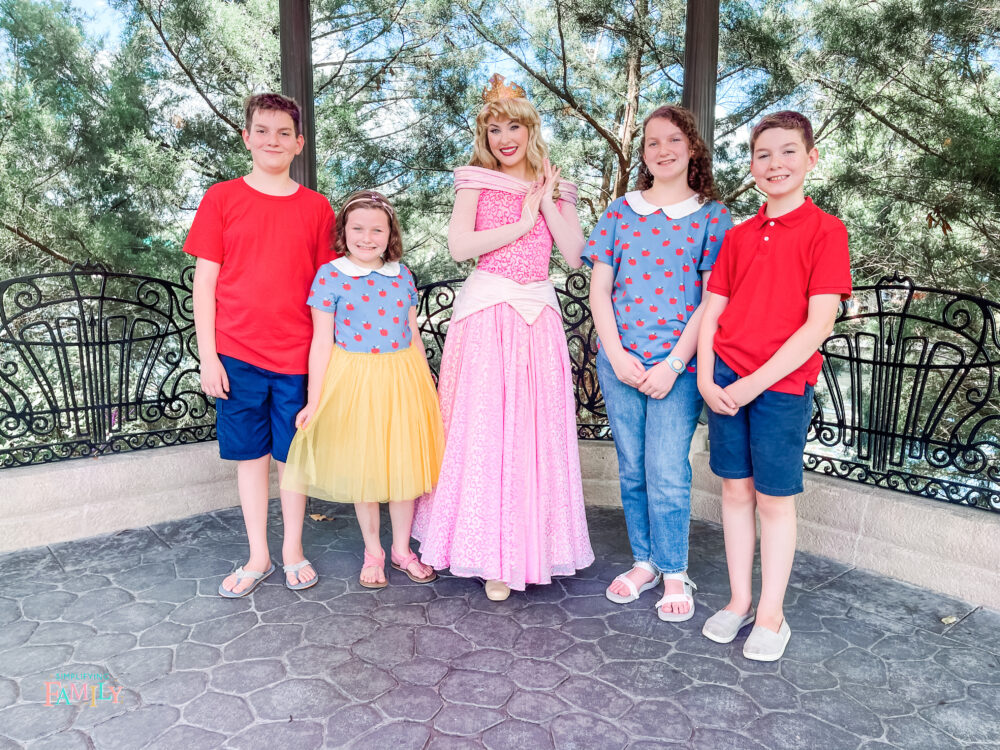 7 Ways To Celebrate Princess Week At Disney World 3